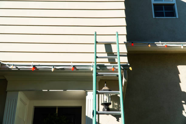 Best Siding Removal and Disposal  in St Augustine, FL