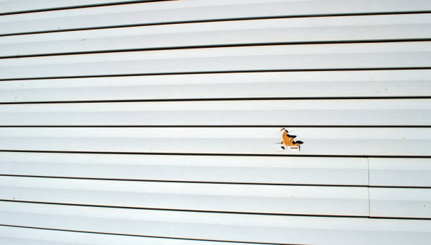 Best Wood Siding Installation  in St Augustine, FL